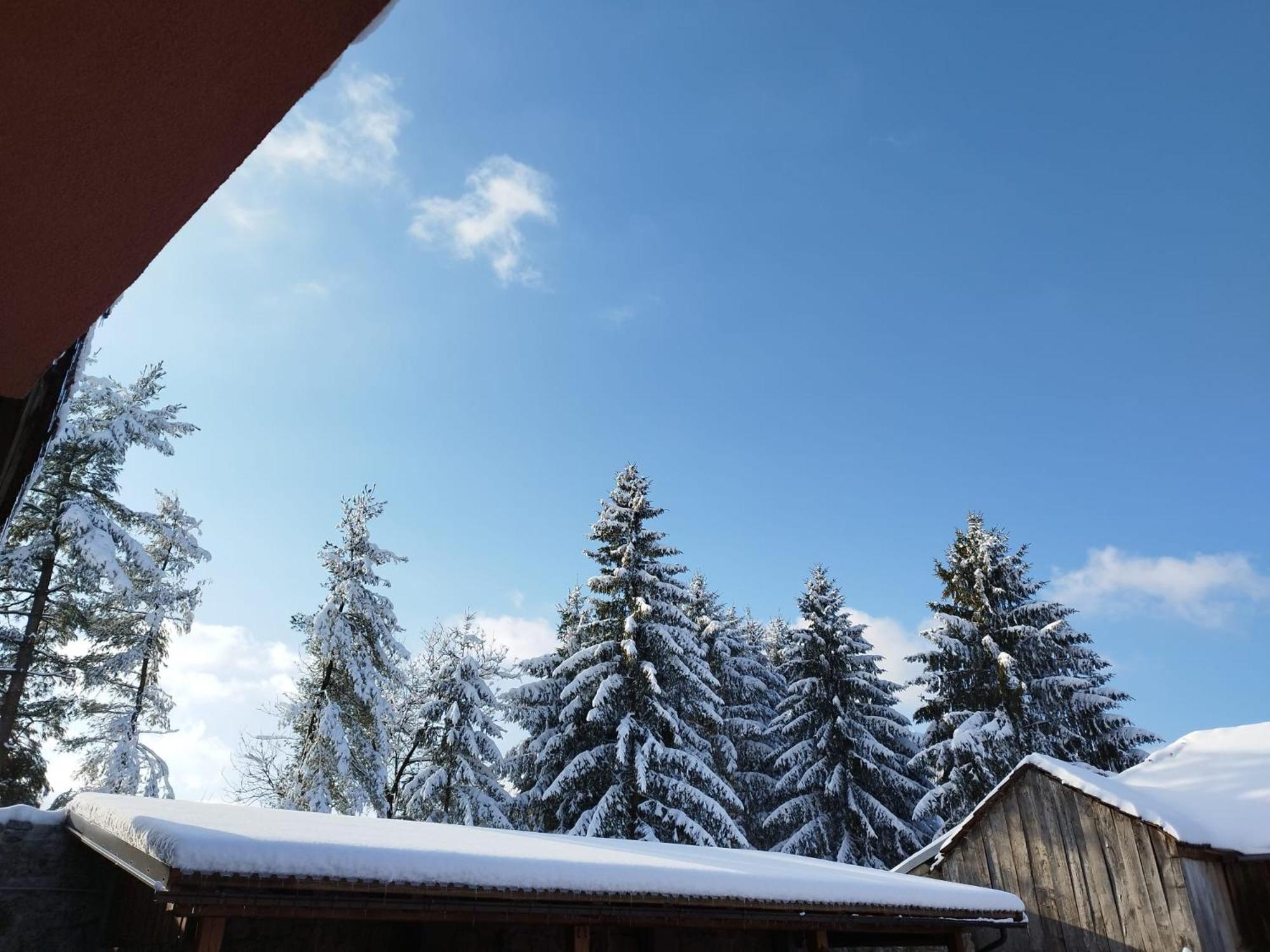 Kuca Za Odmor Blizanke Ogulin Exterior foto